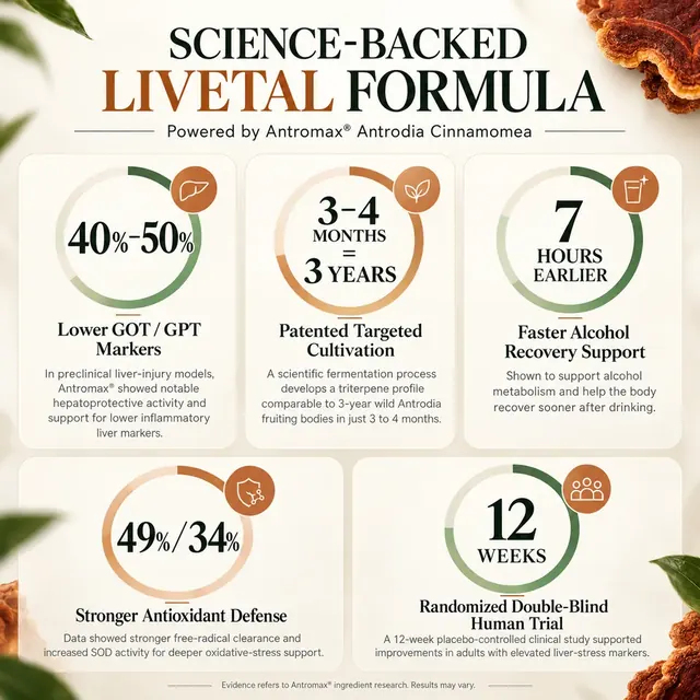 Antromax Antrodia cinnamomea ingredient research findings (lab, animal and human studies, not studies of LIVETAL itself)
