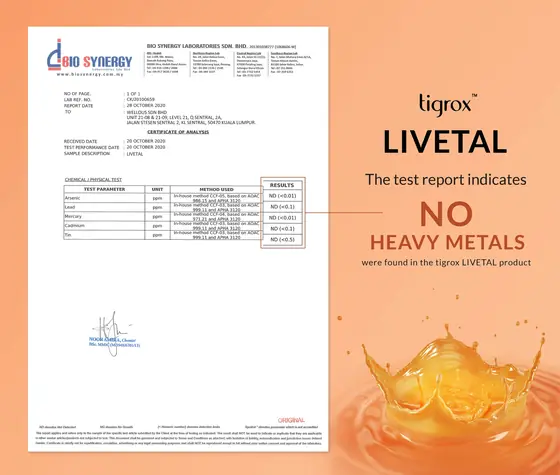 Heavy metals test certificate, tap to enlarge