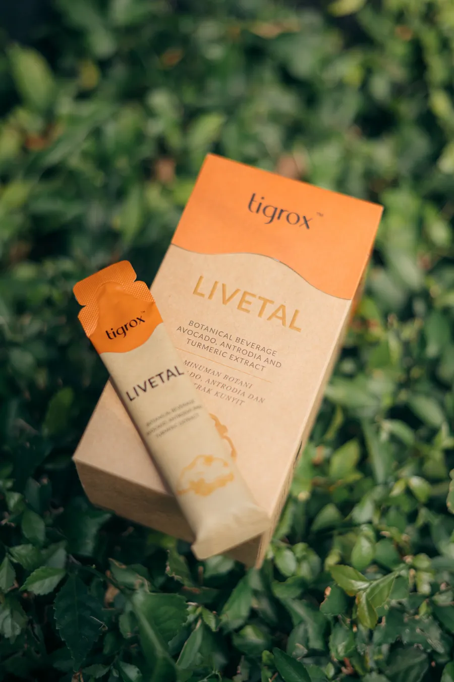 LIVETAL box and sachet resting on green leaves